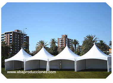 RENTA DE CARPAS EN QUERETARO E HIDALGO